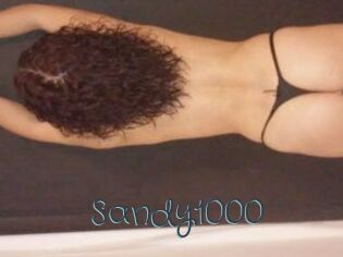 Sandy1000