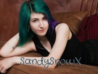 SandySnowX