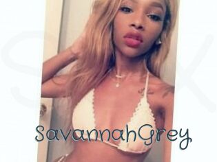 Savannah_Grey