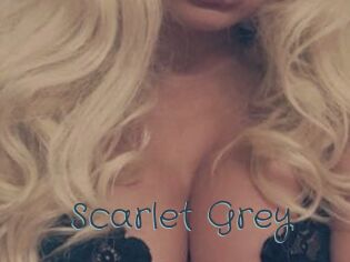 Scarlet_Grey