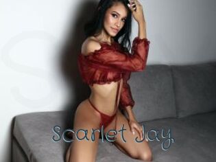 Scarlet_Jay