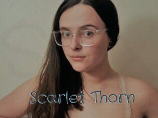 Scarlet_Thorn