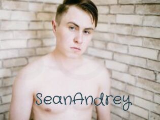 SeanAndrey