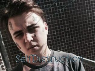 SelfDistruction