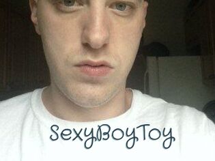 SexyBoyToy