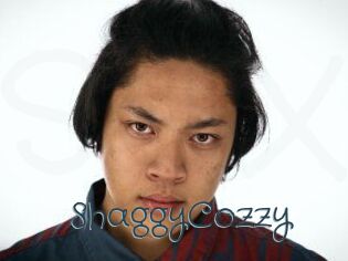 ShaggyCozzy