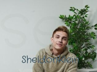 SheldonKlein