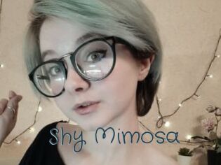 Shy_Mimosa