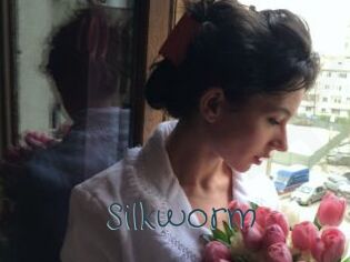 Silkworm