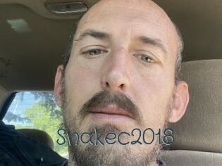 Snakec2018