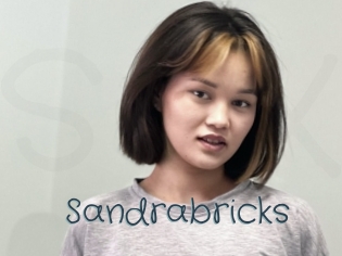 Sandrabricks