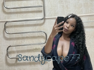 Sandycape77