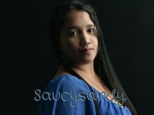 Saucysandy