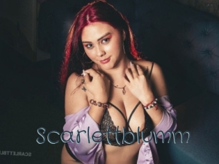 Scarlettblumm