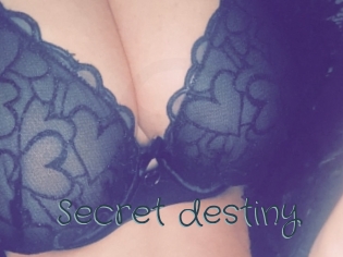 Secret_destiny