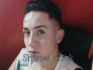 Shane_hook