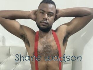 Shane_wadson