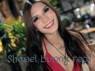 Shanel_bunny_real