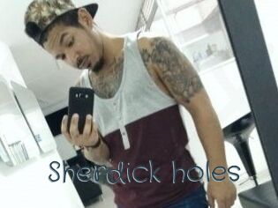 Sherdick_holes