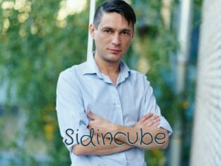 Sid_incube