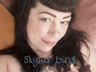 Skylar_bird