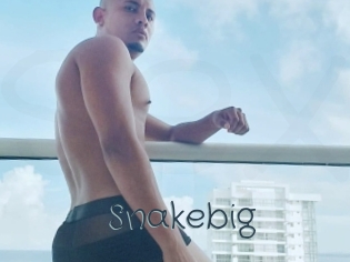 Snakebig