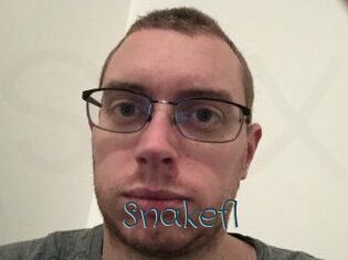 Snakefl