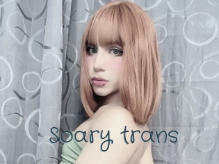 Soary_trans