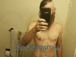 Sodomymike