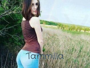 Tammilla_