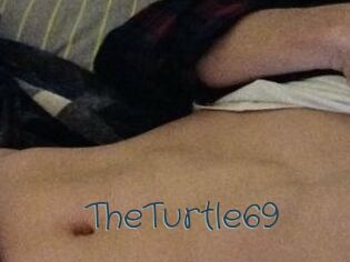 TheTurtle69