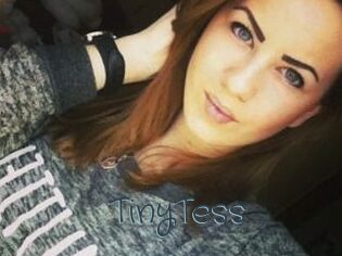 TinyTess