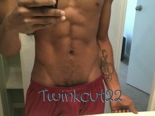 Twinkcut22