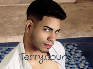 Terrybounce