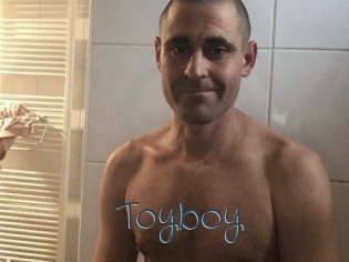 Toyboy