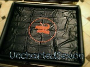 UnchartedSexion