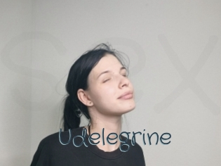 Udelegrine