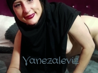 Vanezaleviz