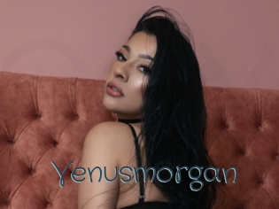 Venusmorgan