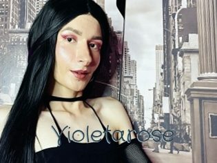 Violetarose