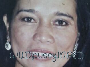 WILDpussyINBED