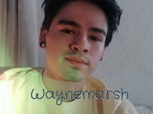 Waynemarsh