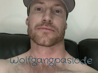 Wolfgangpaslode