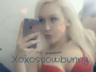 Xoxosnowbunny