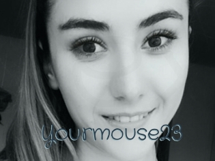 Yourmouse23